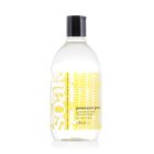 Full Size 12 fl oz Pineapple Soak